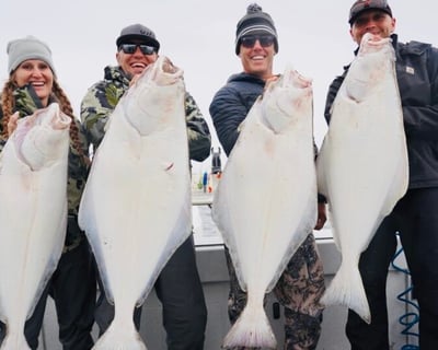 Homer Halibut Fishing Charter