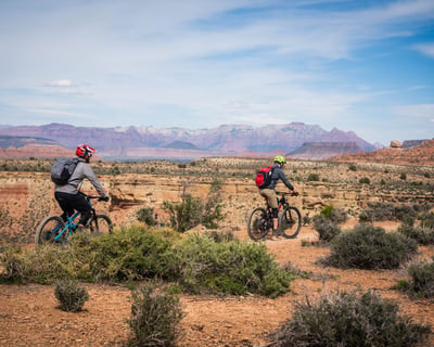 Mountain Bike 1-Day Rental in Springdale