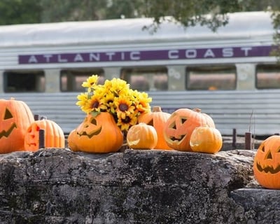 Parrish Pumpkin Patch Train Ride