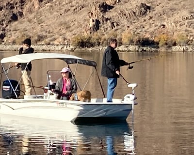 Full Day 60HP Boat Rental at Willow Beach