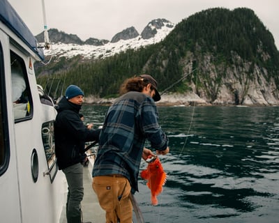 Seward Halibut, Rockfish & Salmon Fishing Charter