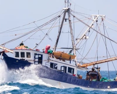 8-Hour Dry Tortugas Fishing Charter