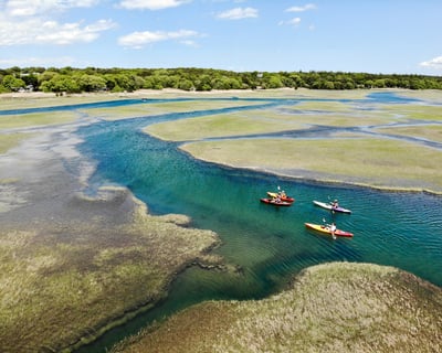 8-Hour East Sandwich Kayak & Paddleboard Rental