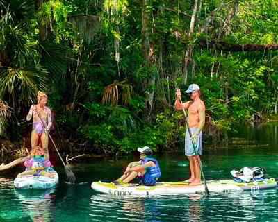 Paddle Crystal Waters & Spot Wild Manatees