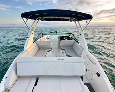 Private 25-Ft Sea Ray: Captain & Fuel Included