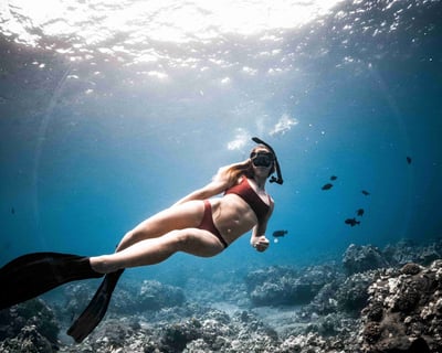 AM Serenity Snorkel from Ka'anapali Beach