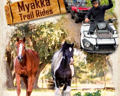 ATV & Horseback Riding Tour in Myakka City
