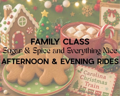 Christmas Train Ride in Aberdeen
