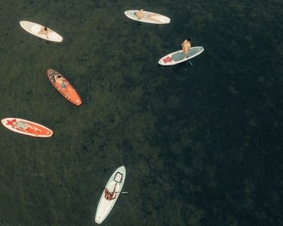 1-8 Hour Paddleboard Rental on Little Blackwater River