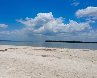 8-Hour Pelican Bay Sandbar Boat Tour