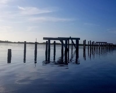 Guided Birding Kayak Tour at Pea Island