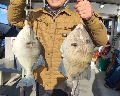 11-Hour Gulf Stream Specialty Fishing Trip in North Myrtle Beach