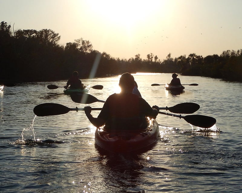 Private Manatee & Dolphin Kayak Tour in Titusville
