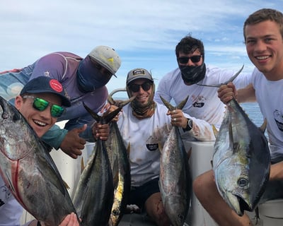 San José del Cabo Sport Fishing Charter