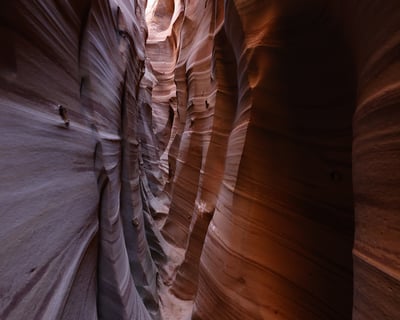 Hike Zebra Slot Canyon Guided Tour From Escalante
