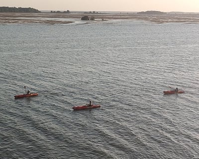 Guided Kayak Tour From Port Royal to Parris Island