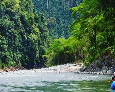 Family Whitewater Rafting Tour on Savegre River