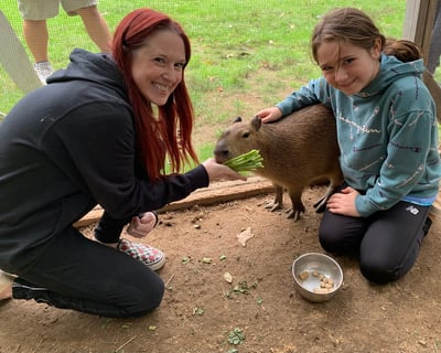 Ultimate VIP Animal Tour