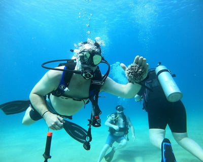 Scuba Diving in Rincón with Personal Guide