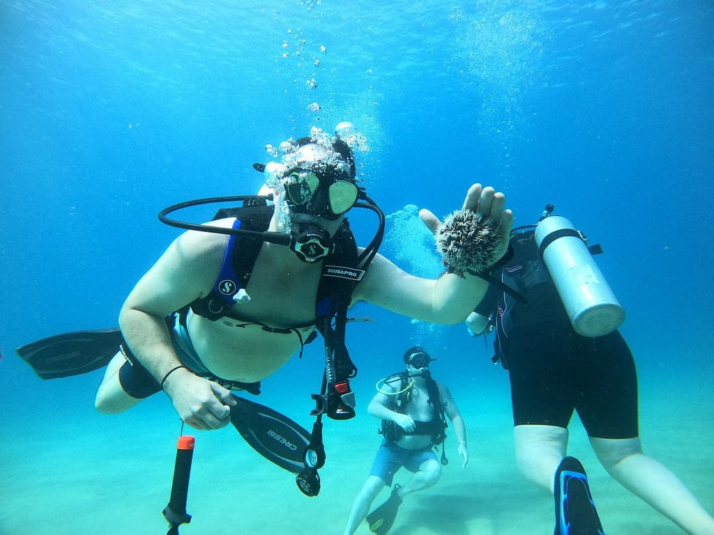 Scuba Diving in Rincón with Personal Guide
