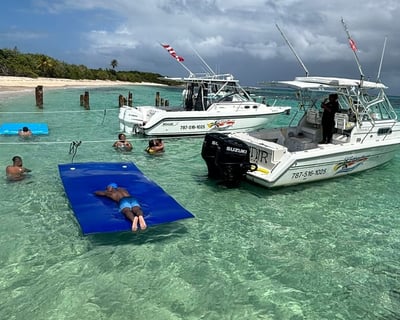 Snorkeling Charter to Icacos & Palomino