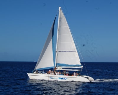 Sunset Catamaran Charter in Gros Islet