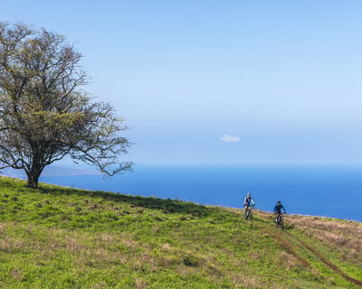 Private 4-Hour E-Mountain Bike Tour in Maui