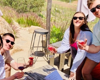 Private Valle De Guadalupe Wine Tasting Tour