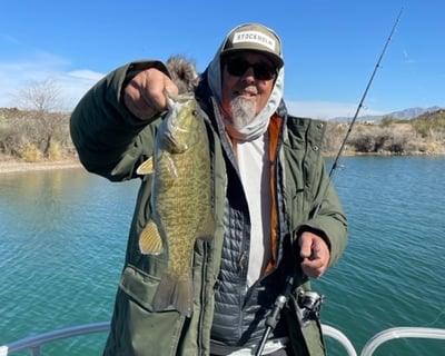 Fish Lake Havasu on a 4- or 8-Hour Charter