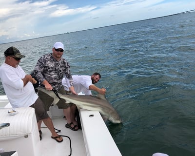Inshore Fishing Charter in St. Petersburg