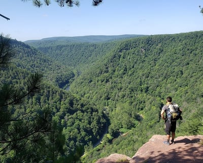 Hike The West Rim Trail Shuttle From Wellsboro