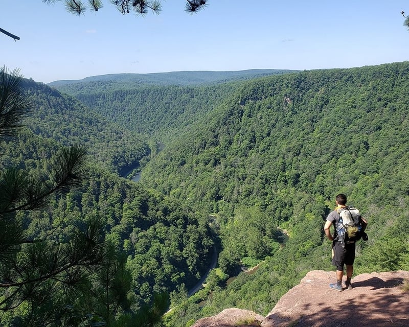 Hike The West Rim Trail Shuttle From Wellsboro