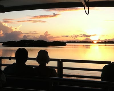 Sunset Wildlife Cruise in Sanibel