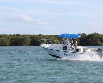 Marathon 24' Boston Whaler Rental