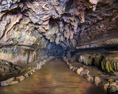Guided Crystal Cave Tour in Sequoia National Park