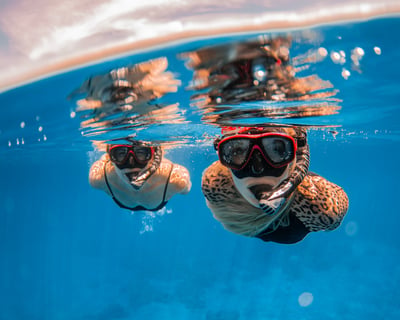 Lahaina Snorkel Tour & Dolphin Encounter
