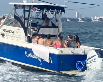 2-Level Boat Charter in North Miami Beach