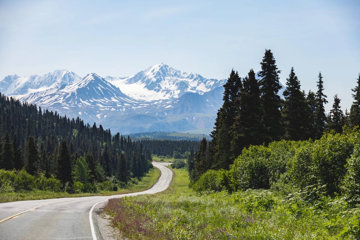 Alaska Interior Guided Tour: Fairbanks to Paxson
