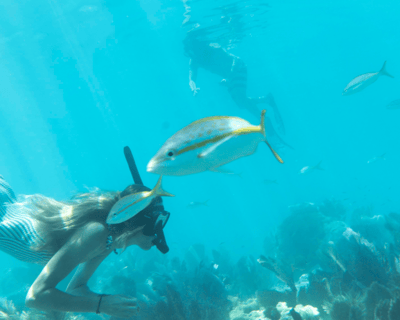 4-Hour Private Sandbar & Snorkel Charter in Key West