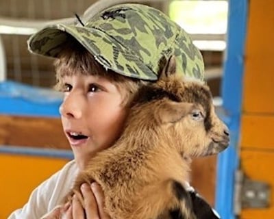 Feed & Pet Baby Goats, Piglets & Mini Animals