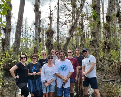 Guided Everglades Wet Walk & Airboat Tour