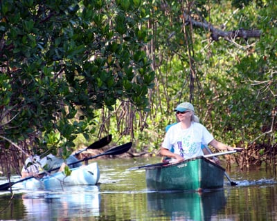 Guided Mangrove Kayak Tour in Sanibel