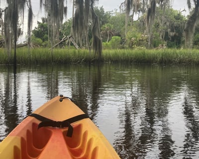 2-Hour Kayak Rental at Crystal River Preserve
