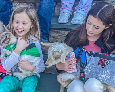 Goat Gram Visit in Glen Allen