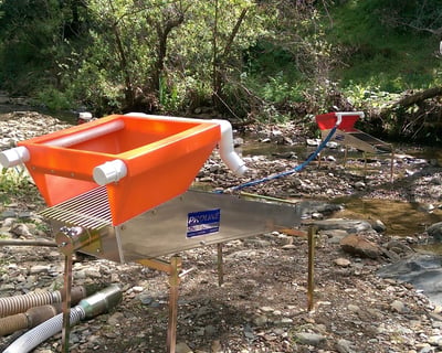 Sluicing & Gold Panning in Jamestown 4-Hour Tour