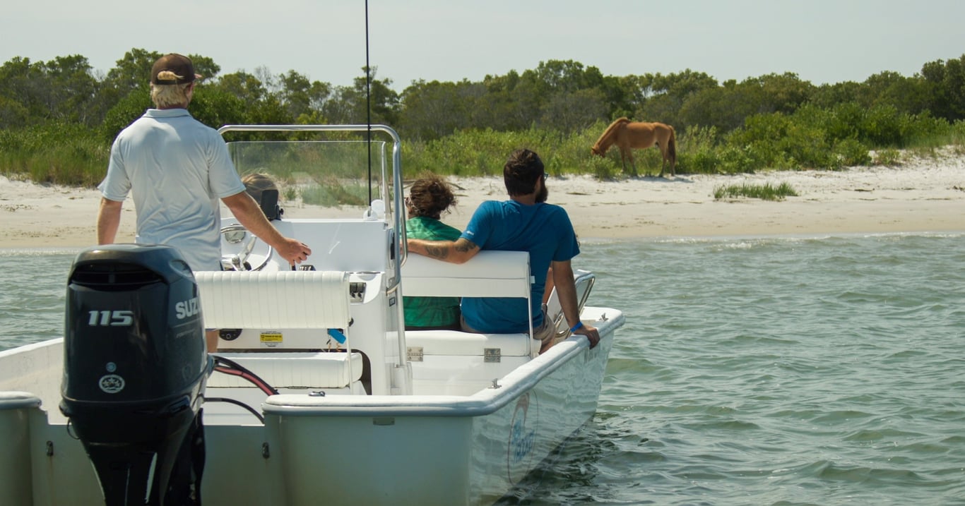 Private Back Bay Assateague Island Wildlife and Pony Cruise