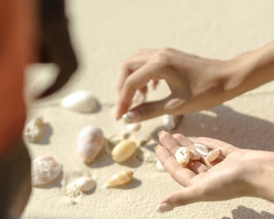 4-Hour Ten Thousand Islands Shelling Tour