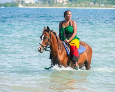 Ocho Rios Horseback Riding & Sea Tubing