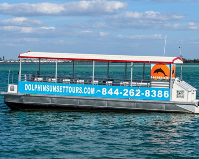 90-Minute Dolphin Tour Anna Maria Island