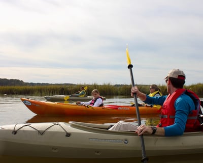Sunset Guided Kayak Nature Tour in Hilton Head